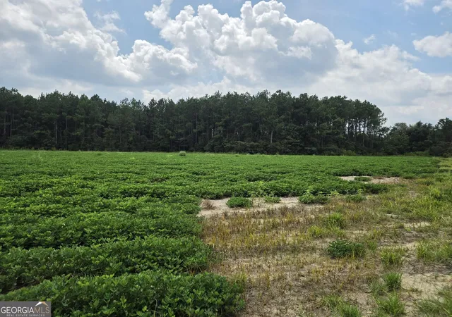 Photo 3 of Land for sale at 0 Roy And Blanche Hulett Rd #7, Fitzgerald, GA 31750 | MLS# 10831396 | Listing updated on 2026-09-06