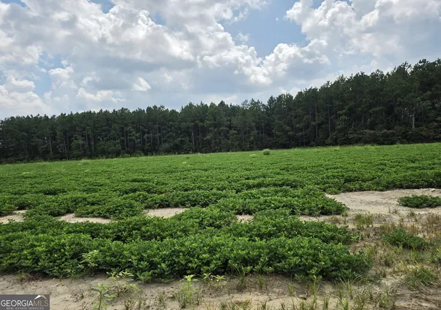 Photo 3 of Land for sale at 0 Roy And Blanche Hulett Rd #7, Fitzgerald, GA 31750 | MLS# 10831396 | Listing updated on 2026-09-06