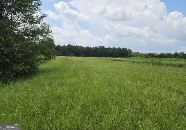 Photo 4 of Land for sale at 0 Roy And Blanche Hulett Rd #7, Fitzgerald, GA 31750 | MLS# 10831396 | Listing updated on 2026-09-06