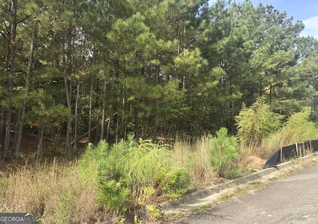 Photo 3 of Land for sale at 188 Belford Way, Jackson, GA 30233 | MLS# 10628876 | Listing updated on 2026-05-07