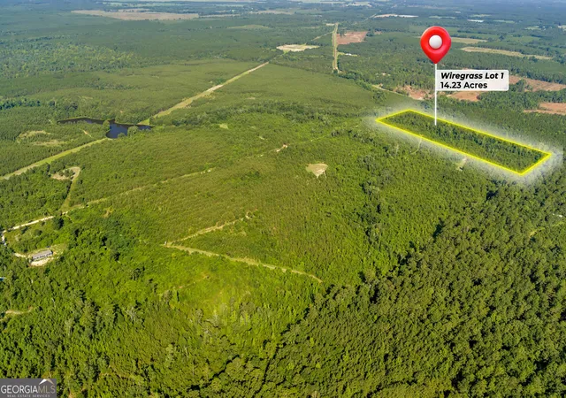 17th image of 1 Rozar Goolsby Rd, Eastman, GA 31023 | MLS# 10800554
