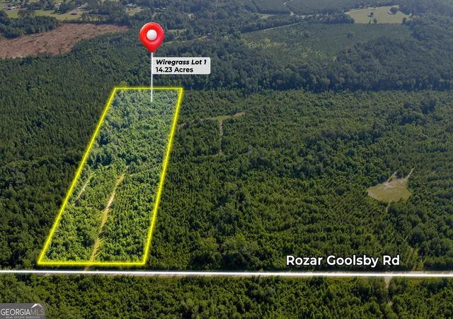 1st image of 1 Rozar Goolsby Rd, Eastman, GA 31023 | MLS# 10800554