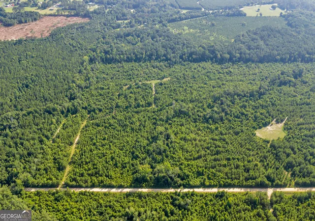 2nd image of 1 Rozar Goolsby Rd, Eastman, GA 31023 | MLS# 10800554