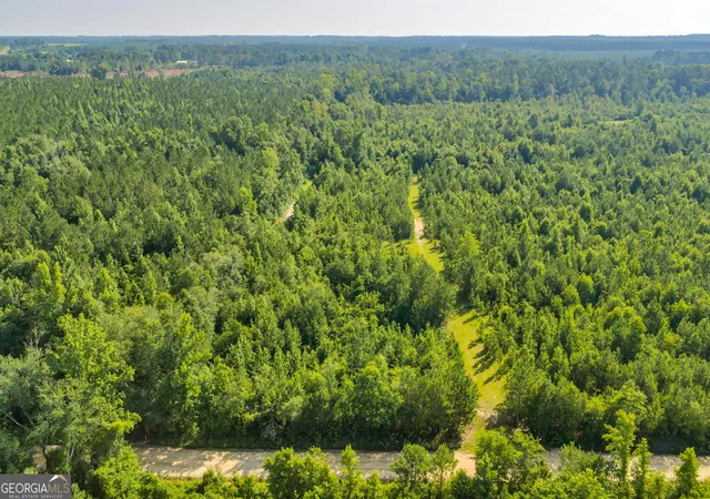 3rd image of 1 Rozar Goolsby Rd, Eastman, GA 31023 | MLS# 10800554