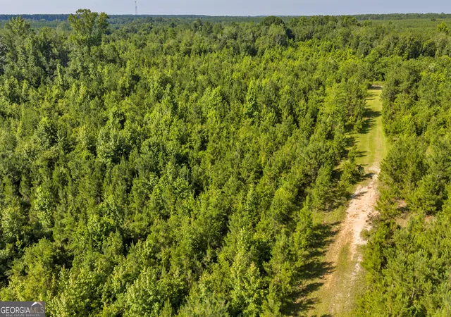 4th image of 1 Rozar Goolsby Rd, Eastman, GA 31023 | MLS# 10800554