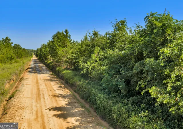 5th image of 1 Rozar Goolsby Rd, Eastman, GA 31023 | MLS# 10800554