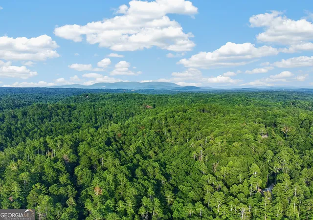 41st image of 643 Woodstone Trail, Ellijay, GA 30540 | MLS# 10829637