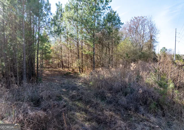 Photo 3 of Land for sale at 2071 Leslie Mill Rd, Greensboro, GA 30642 | MLS# 10667634 | Listing updated on 2026-08-22