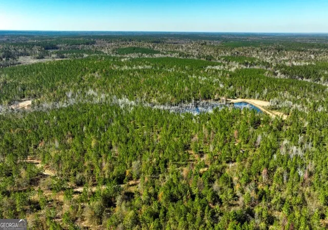 38th image of 0 Morton Rd, Dublin, GA 31021 | MLS# 10782469