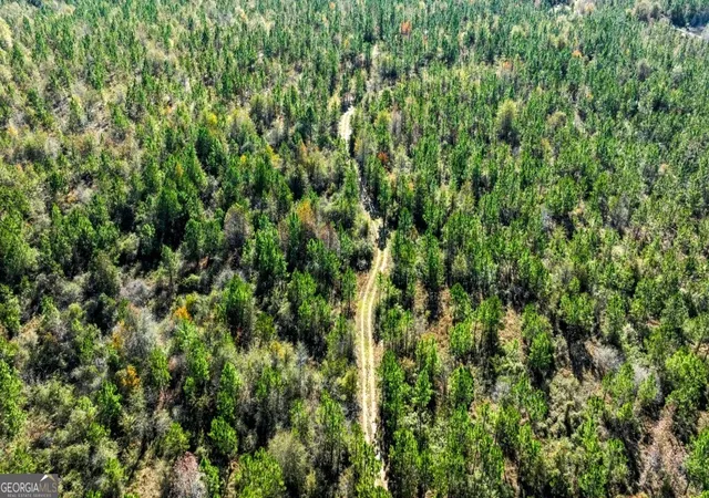 3rd image of 0 Morton Rd, Dublin, GA 31021 | MLS# 10782469