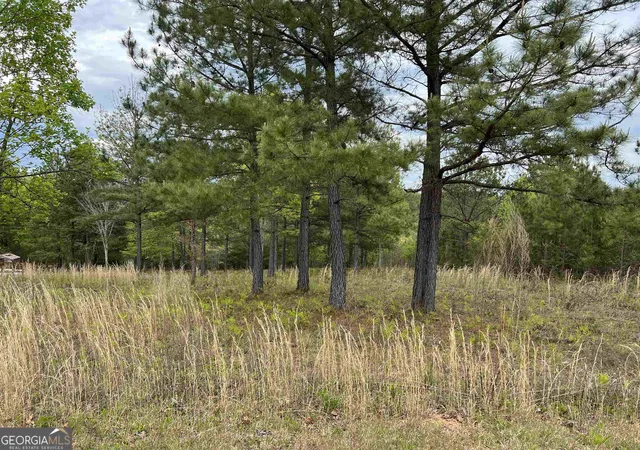 2nd image of Lot 65 Village Loop, Blairsville, GA 30512 | MLS# 10823074