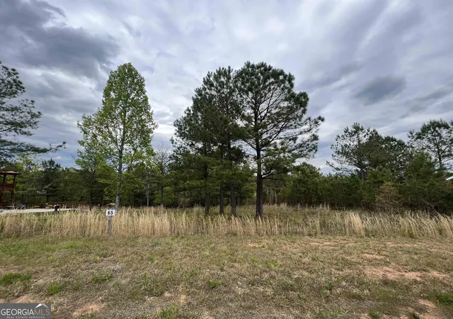 3rd image of Lot 65 Village Loop, Blairsville, GA 30512 | MLS# 10823074