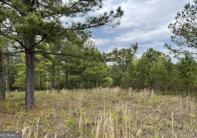 4th image of Lot 65 Village Loop, Blairsville, GA 30512 | MLS# 10823074