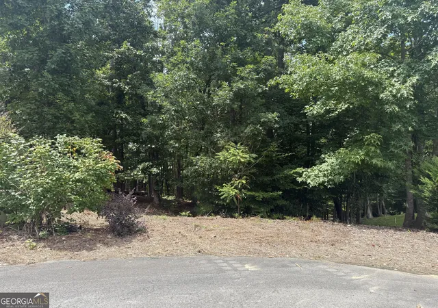 1st image of 96 Battle Knoll, Dallas, GA 30157 | MLS# 10824310