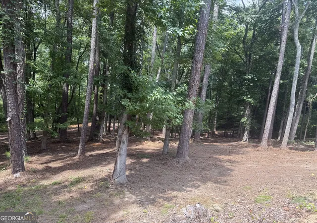 2nd image of 96 Battle Knoll, Dallas, GA 30157 | MLS# 10824310