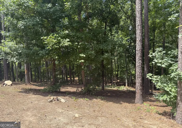Photo 3 of Land for sale at 96 Battle Knoll, Dallas, GA 30157 | MLS# 10824310 | Listing updated on 2026-09-14