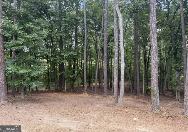 4th image of 96 Battle Knoll, Dallas, GA 30157 | MLS# 10824310