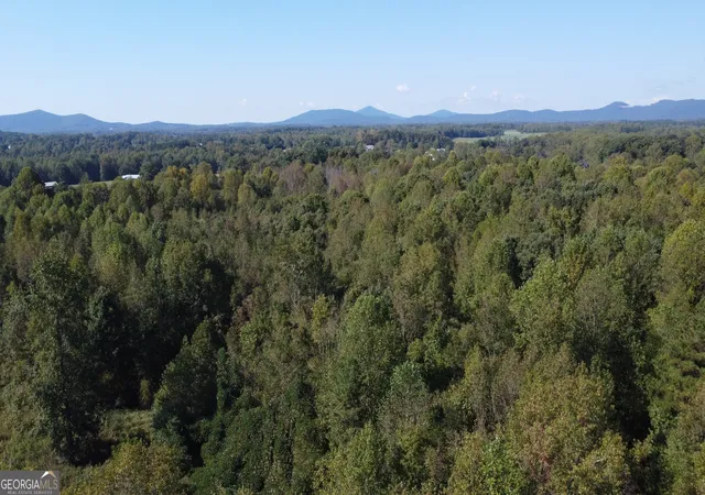 13th image of 0 Holiness Campground Rd, Cleveland, GA 30528 | MLS# 10827710