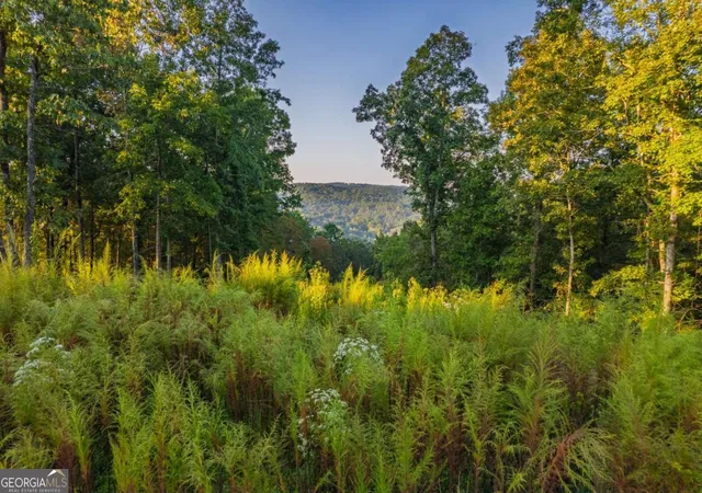 Photo 1 of Land for sale at Lot 290 Anglers Ridge Rd, Talking Rock, GA 30175 | MLS# 10603208 | Listing updated on 2026-09-12