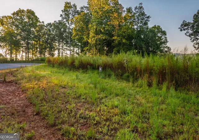 Photo 4 of Land for sale at Lot 290 Anglers Ridge Rd, Talking Rock, GA 30175 | MLS# 10603208 | Listing updated on 2026-09-12