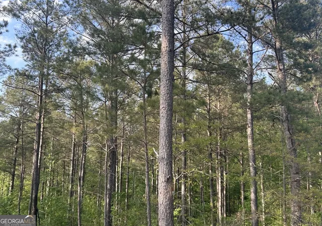 Photo 4 of House for sale at 0 Needmore Rd, Roopville, GA 30170 | MLS# 10505516 | Listing updated on 2026-07-27