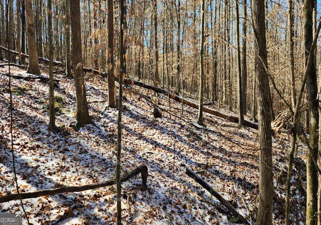 Photo 2 of Land for sale at 5500 Brookton Lula Rd, Gainesville, GA 30506 | MLS# 10701563 | Listing updated on 2026-04-05