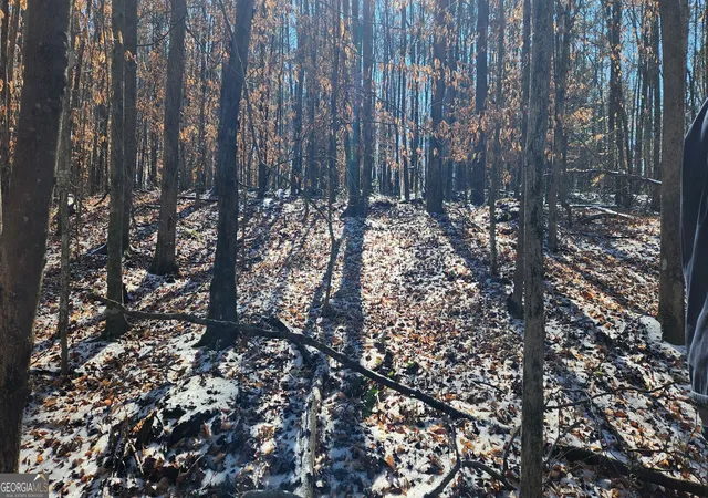 Photo 2 of Land for sale at 5500 Brookton Lula Rd, Gainesville, GA 30506 | MLS# 10701563 | Listing updated on 2026-04-05