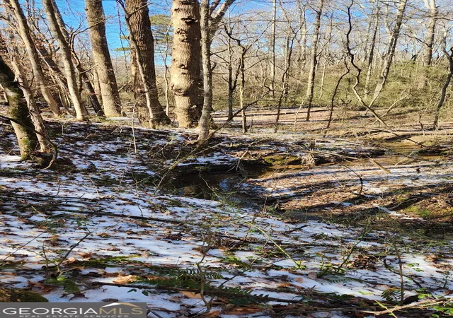 Photo 3 of Land for sale at 5500 Brookton Lula Rd, Gainesville, GA 30506 | MLS# 10701563 | Listing updated on 2026-04-05
