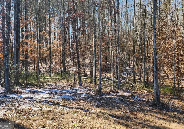 Photo 9 of Land for sale at 5500 Brookton Lula Rd, Gainesville, GA 30506 | MLS# 10701563 | Listing updated on 2026-04-05