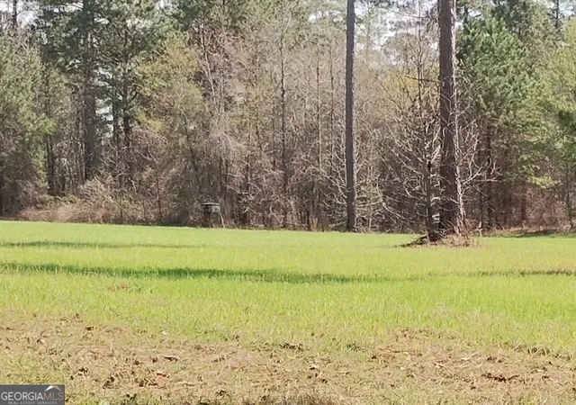 2nd image of 0 Old Copelan Road, Eatonton, GA 31024 | MLS# 10708593