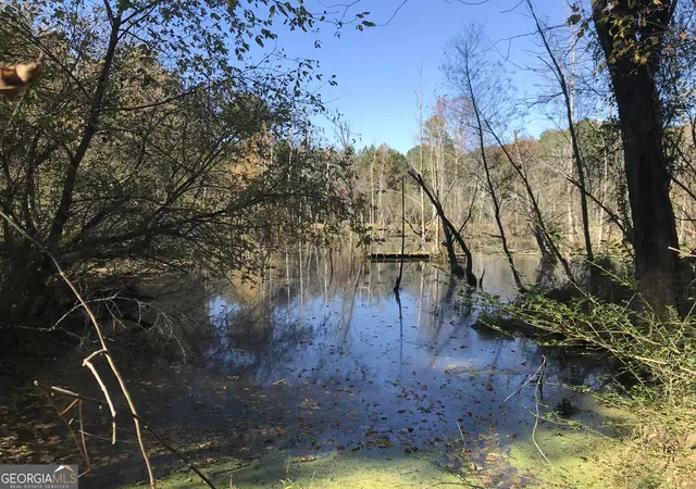 4th image of 0 Hall Memorial Rd #9595, Calhoun, GA 30701 | MLS# 10626882