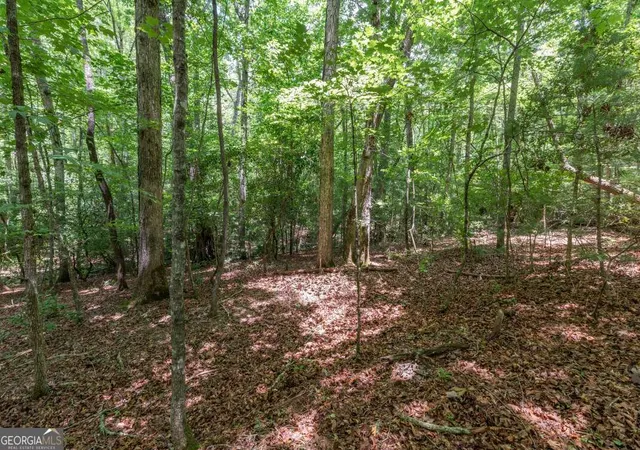 Photo 3 of Land for sale at 6 Ac Solar Dr, Blue Ridge, GA 30513 | MLS# 10801978 | Listing updated on 2026-07-23