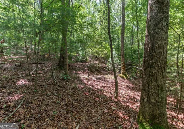 Photo 3 of Land for sale at 6 Ac Solar Dr, Blue Ridge, GA 30513 | MLS# 10801978 | Listing updated on 2026-07-23