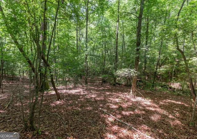 Photo 4 of Land for sale at 6 Ac Solar Dr, Blue Ridge, GA 30513 | MLS# 10801978 | Listing updated on 2026-07-23