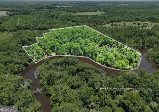 Homes for sale in Waycross, GA | 10 Acres Wildcat Ln   Satilla River, Waycross, GA 31503 | MLS# 10793417