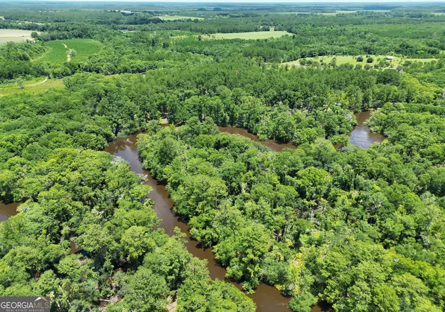 Homes for sale in Waycross, GA | 10 Acres Wildcat Ln   Satilla River, Waycross, GA 31503 | MLS# 10793417