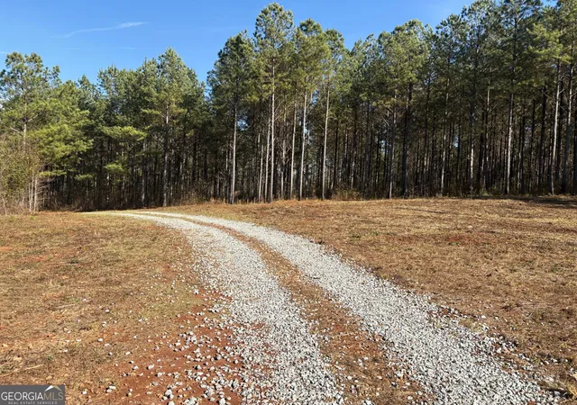 1st image of T2 Old Zebulon Rd, Forsyth, GA 31029 | MLS# 10826007