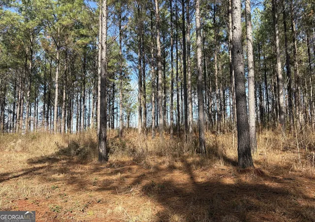 2nd image of T2 Old Zebulon Rd, Forsyth, GA 31029 | MLS# 10826007