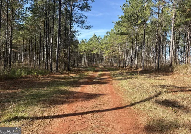 3rd image of T2 Old Zebulon Rd, Forsyth, GA 31029 | MLS# 10826007