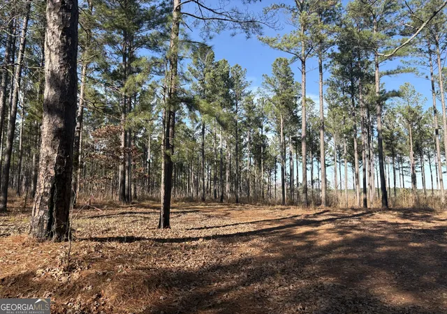 5th image of T2 Old Zebulon Rd, Forsyth, GA 31029 | MLS# 10826007
