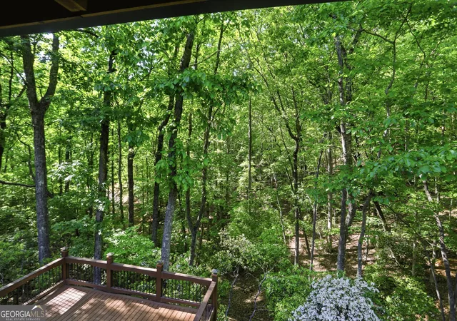 36th image of 702 Ranch Mountain Dr, Dahlonega, GA 30533 | MLS# 10761535
