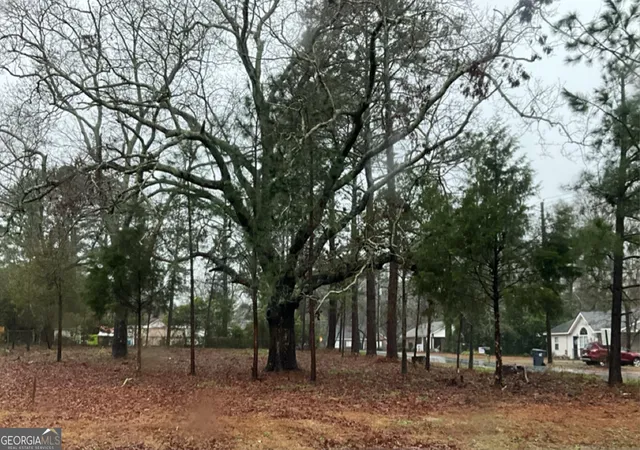 1st image of 0 Canal Ln #LOT 5, Cochran, GA 31014 | MLS# 10816200