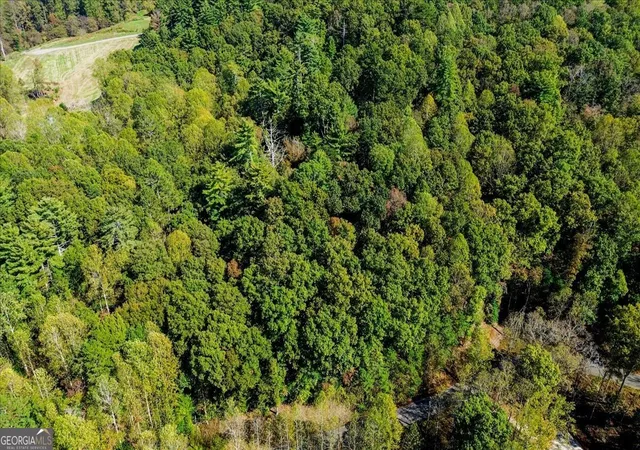 Photo 3 of Land for sale at Lt 3468 Eagle M Fir Ln, Ellijay, GA 30540 | MLS# 10631198 | Listing updated on 2026-10-19
