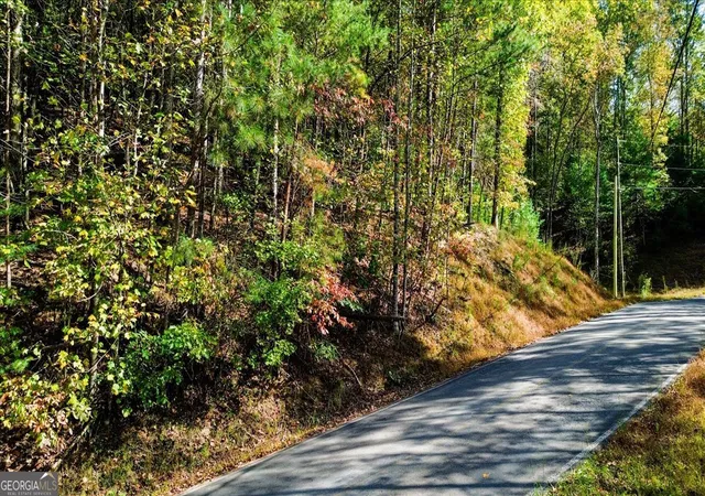 Photo 4 of Land for sale at Lt 3468 Eagle M Fir Ln, Ellijay, GA 30540 | MLS# 10631198 | Listing updated on 2026-10-19