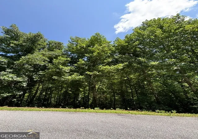 2nd image of Lot #5 King Mountain Dr, Clayton, GA 30525 | MLS# 10818417