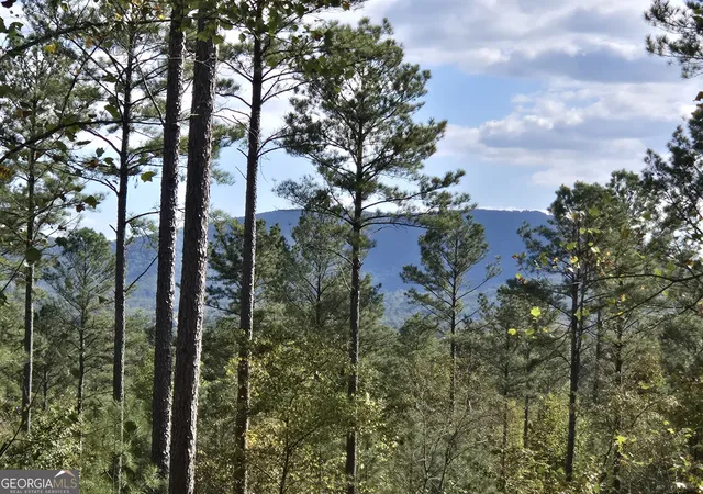 Photo 1 of Land for sale at 3871 Highway 140 Ne, Rydal, GA 30171 | MLS# 10632109 | Listing updated on 2025-11-10