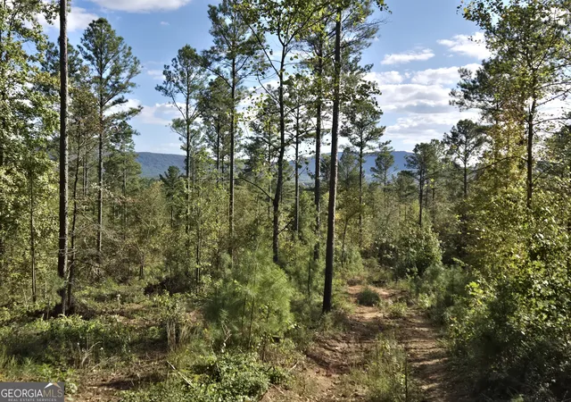 Photo 2 of Land for sale at 3871 Highway 140 Ne, Rydal, GA 30171 | MLS# 10632109 | Listing updated on 2025-11-10
