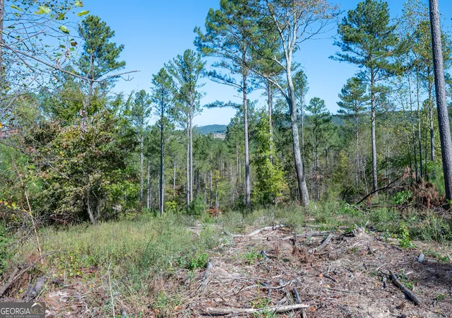 Photo 4 of Land for sale at 3871 Highway 140 NE, Rydal, GA 30171 | MLS# 10632109 | Listing updated on 2025-11-10