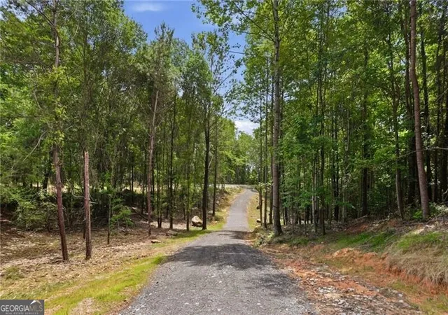 Photo 2 of Land for sale at Lot 1 Pete Path, Dallas, GA 30157 | MLS# 10796060 | Listing updated on 2026-08-03