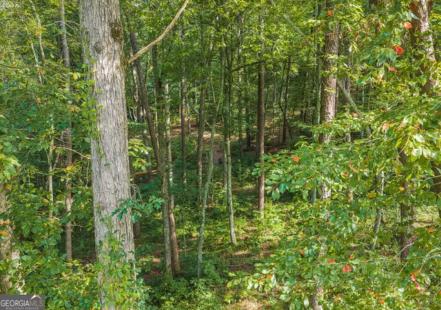 Photo 1 of Land for sale at 186 Pinnacle Dr, Ellijay, GA 30540 | MLS# 10836551 | Listing updated on 2026-09-17